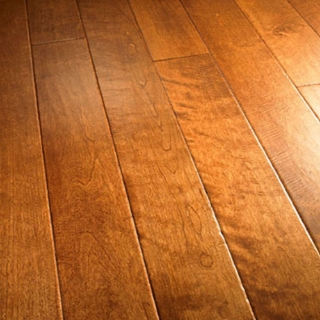 Picture of Palmetto Road - River Ridge Nantahala