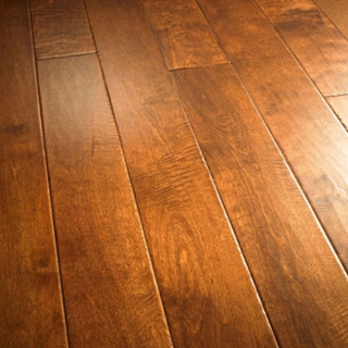 Picture of Palmetto Road - River Ridge Ocoee