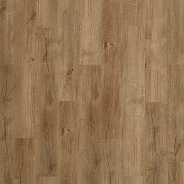 Picture of Palmetto Road - Inspire Fawn