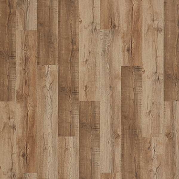 Picture of Palmetto Road - Inspire Riverside