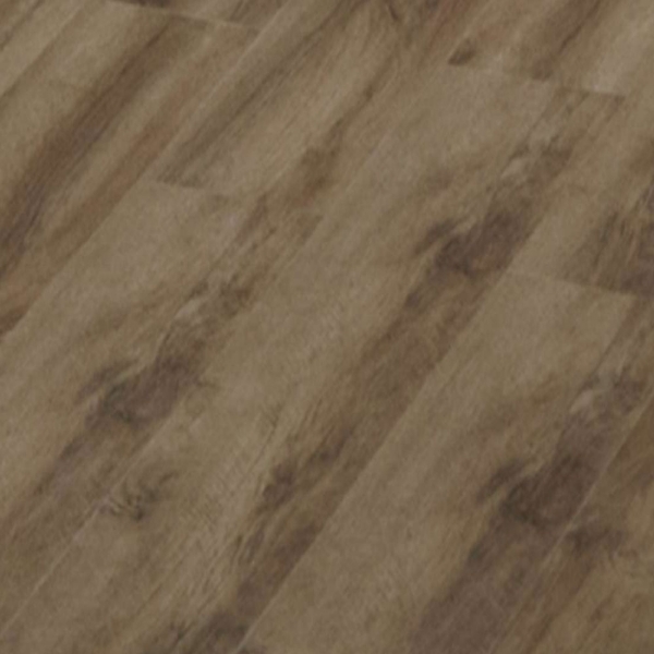 Picture of Texas Traditions - SPC Stake Bay