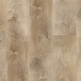 Picture of Republic - Countryside Eastern Cottonwood