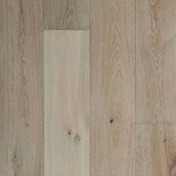 Picture of Veranda - Charleston Magnolia