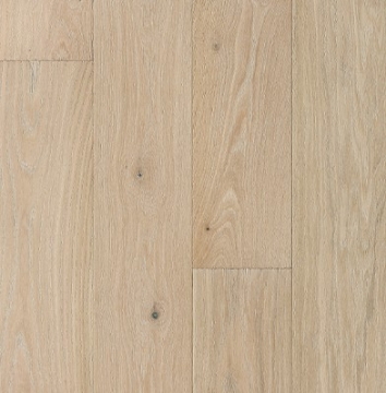 Picture of Palmetto Road - Monet Marseille