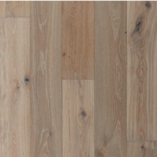 Picture of Palmetto Road - Tuscany Milan