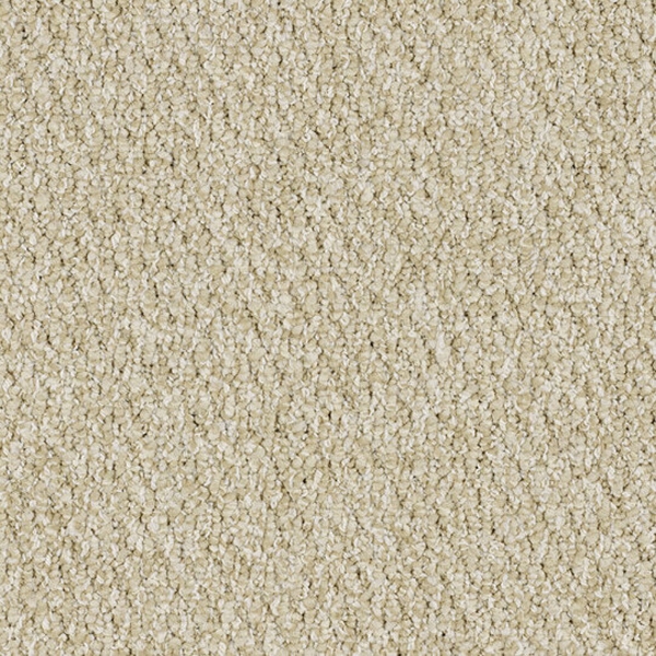 Picture of Patcraft - Socrates II Hume