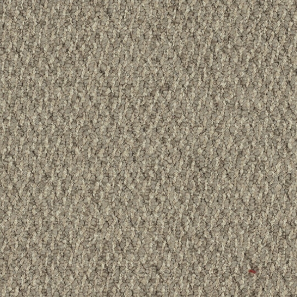 Picture of Patcraft - Socrates II Schiller