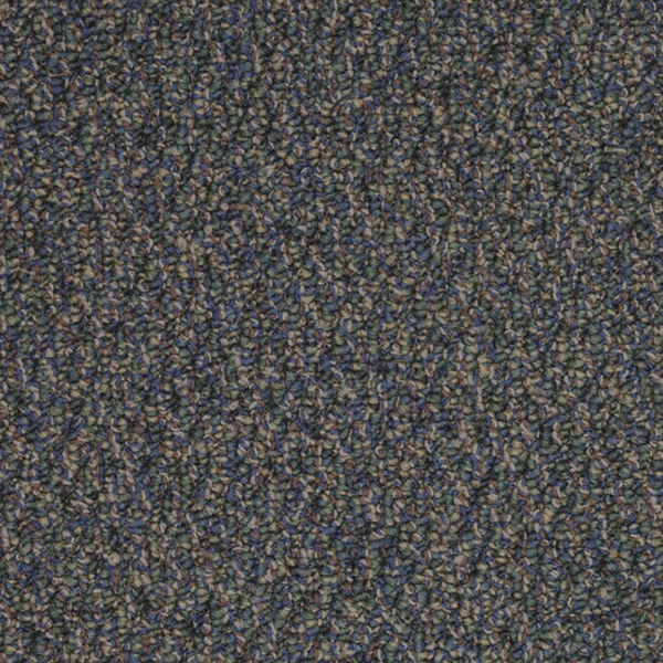 Picture of Patcraft - Socrates II Schweitzer