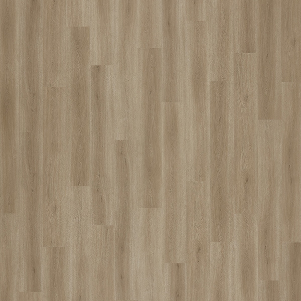 Picture of Palmetto Road - Inspire Skate