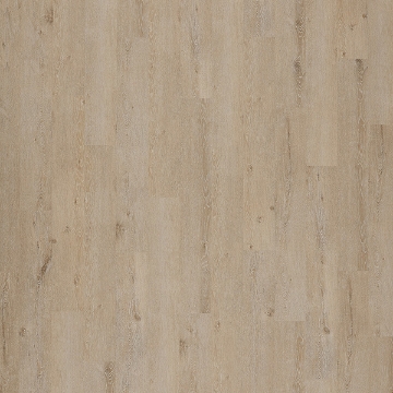 Picture of Palmetto Road - Inspire Drum