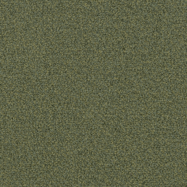 Picture of Patcraft - Color Your World Moss