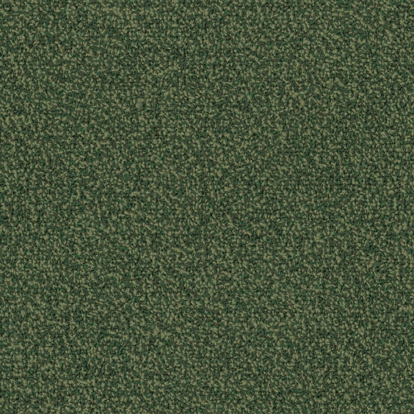 Picture of Patcraft - Color Your World Parakeet