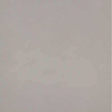 Picture of Emser Tile - Citizen 24 x 24 Matte Public