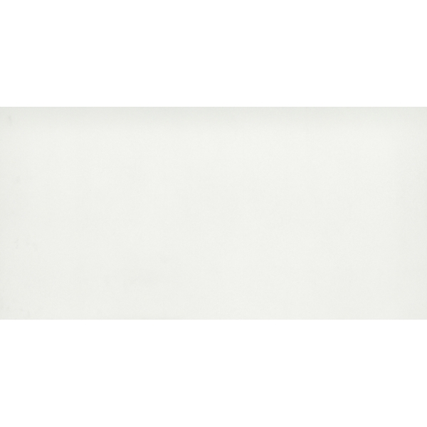 Picture of Emser Tile - Citizen 24 x 48 Matte Civilian