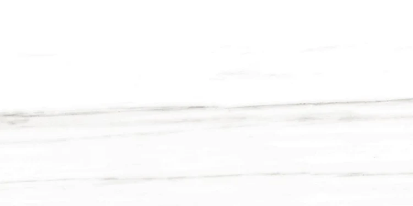 Picture of Florim USA - Epic 12 x 24 Matte Dolomite