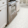 Picture of Shaw Builder - Del Ray Mosaic Hexagon Pearl