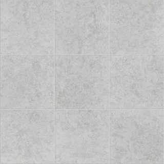 Picture of Shaw Floors - Empire 17 x 17 Surf