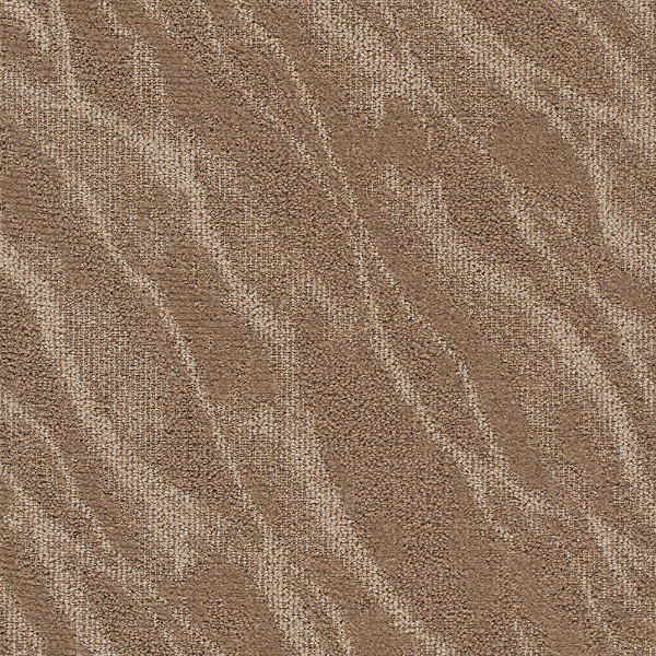 Picture of Joy - On Demand Riverine Nautilus