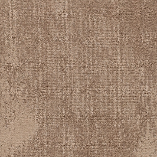 Picture of Joy - On Demand Static Camel