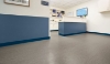 Picture of Armstrong - Coved Wallbase 4 inch Almost Navy