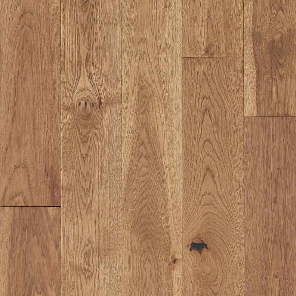 Picture of Mannington - Latitude Forest Park Sunbeam