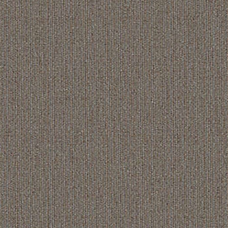 Picture of Aladdin Commercial - Special Coverage Trending Now