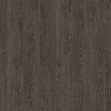 Picture of Pentz - Parkway Fossil