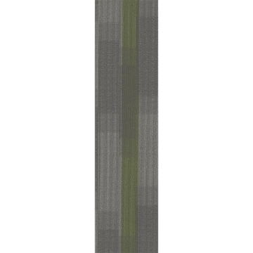 Picture of Pentz - Amplify Plank Parrot