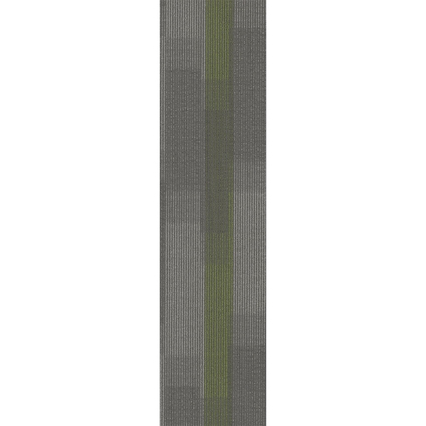 Picture of Pentz - Amplify Plank Parrot