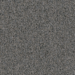 Picture of Pentz - Chivalry Tile Character