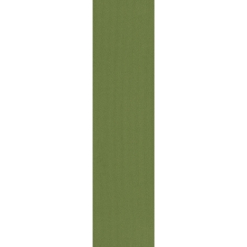 Picture of Pentz - Colorburst Plank Parrot