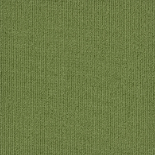 Picture of Pentz - Colorburst Tile Parrot