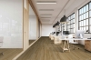 Picture of Hartco - Loose Lay LVT 7 x 48 Warm Feelings