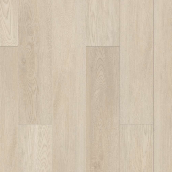 Picture of Shaw Floors - Paladin Plus Silver Dollar