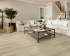 Picture of Shaw Floors - Paladin Plus Silver Dollar