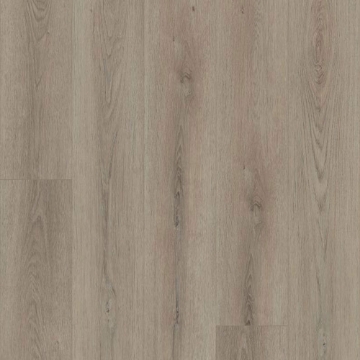 Picture of Shaw Floors - Paladin Plus Toasted Taupe