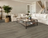Picture of Shaw Floors - Paladin Plus Toasted Taupe