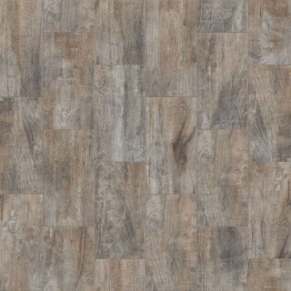 Picture of Shaw Floors - Olympia 7 x 22 Ash