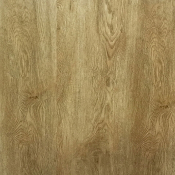 Picture of Signature Collection - Tuscan Coast Pisa