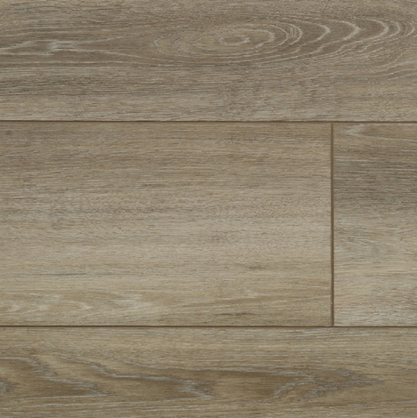 Picture of Audacity - Harmony 6.2MM Taunton