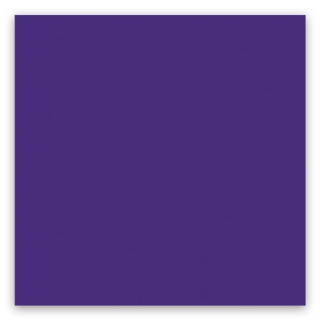 Picture of American Olean - Color Story 2 x 8 Glossy Devotion