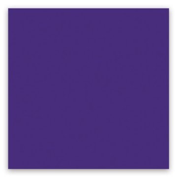 Picture of American Olean - Color Story 8 x 24 Glossy Devotion