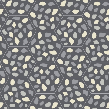 Picture of Bisazza Mosaico - Cementiles Decorations Hex Grit Dark Grey