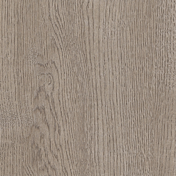 Picture of Gardenia Orchidea - Just Code 10 x 72 Sand