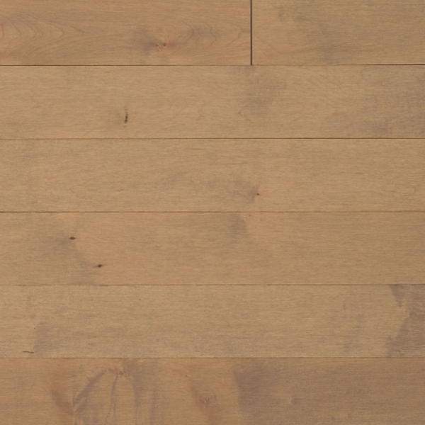 Picture of Appalachian Flooring - Signature Engineered 5 x 3/4 Matte Chardonnay Hard Maple Excel