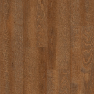 Picture of Happy Feet Intl. - Mustang Jurassic