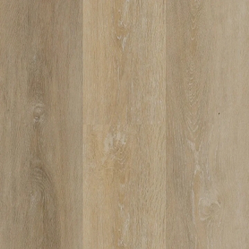 Picture of Matrexx - Miracle Sandy Shore