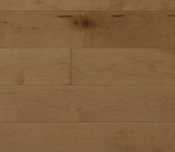Picture of Appalachian Flooring - Signature Solid 3 1/4 Matte Palazzo Hard Maple Prestige