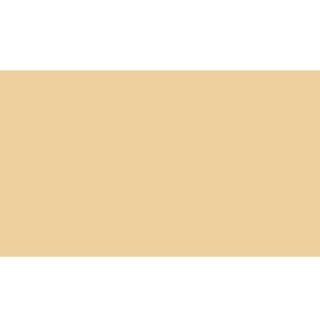 Picture of Emser Tile - Back To Basics Glossy Apricot