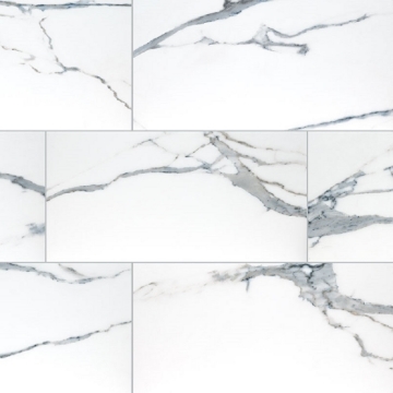 Picture of MS International - Savoy 24 x 48 Matte Azula